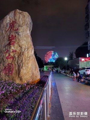 夜游虎巖公園