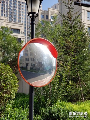 【淺秋時(shí)光】+小區(qū)秋色