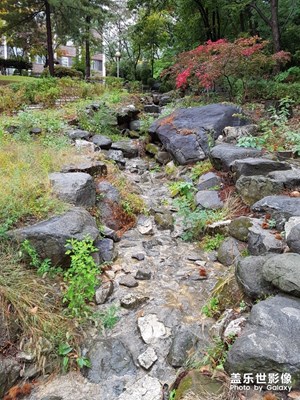 韓國(guó)回顧之-京畿道《大真大學(xué)2016》