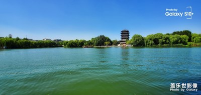 花開花落又一秋