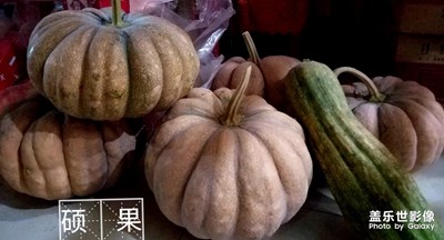 勞動(dòng)果實(shí)之碩果
