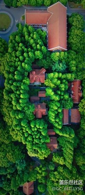 我們學(xué)校的航拍圖，太美了