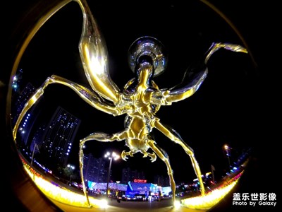 【光影的魅力】+三星S8+夜拍