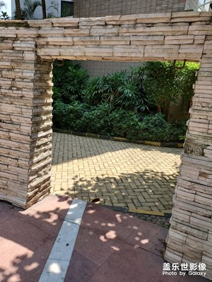 【光影的魅力】+ 家附近隨手拍陽(yáng)光