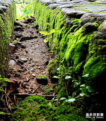 近期感覺拍得還不錯的照片