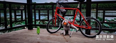 【中秋佳節(jié)】+羅馬湖