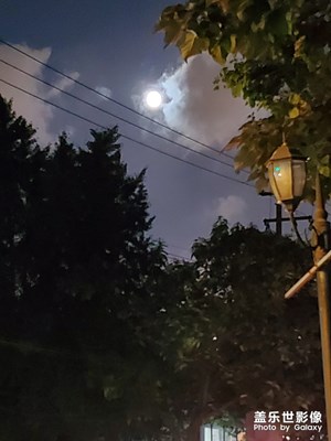 【光影的魅力】+中秋節(jié)