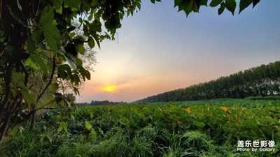 臺兒莊運(yùn)河國家濕地公園