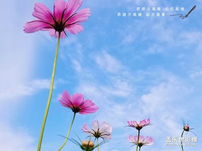 【團(tuán)圓節(jié)】+佳節(jié)途景