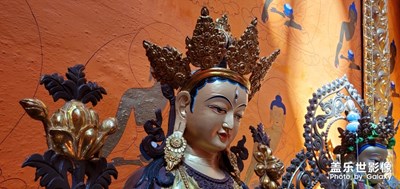 三星Note10+的超廣角是我所見手機(jī)里最強(qiáng)的！