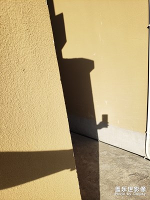 簡(jiǎn)約——頂樓隨拍