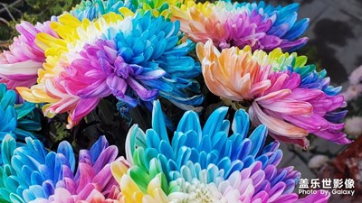 Note10+5G照相真香