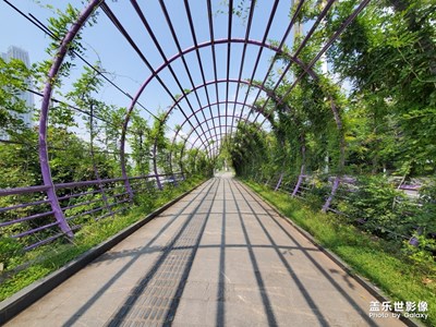 農(nóng)村老頭溜山城，腳桿走彎了。


又走一波