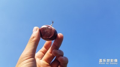 天涼好個秋