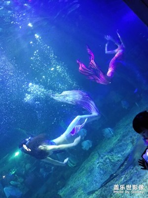 【歡度十一】+海立方