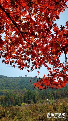 來一組s10照片，中毒的圖片