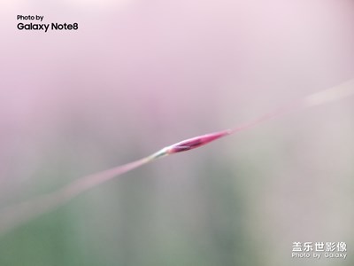 郊游隨拍《原圖無修飾》