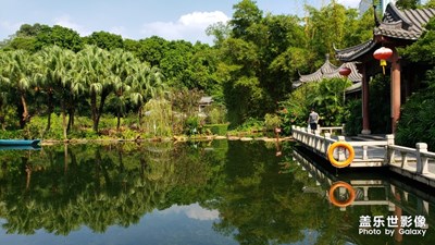 東莞人民公園，Note9的解析度和銳度都挺好