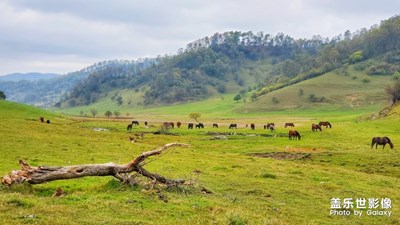 【歡度十一】+堵中作樂
