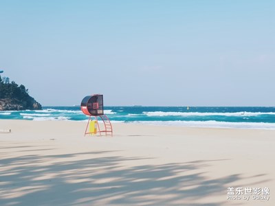 【Note8】海岸線小火車沿路隨拍