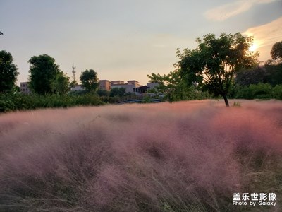 十一旅行游佛山翰林湖