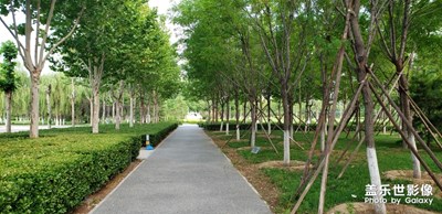 【上下班隨想】+小路風(fēng)景