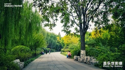 【愛在深秋】+邂逅明湖畔