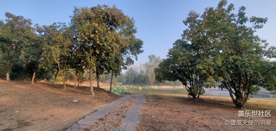 我的大學生活。