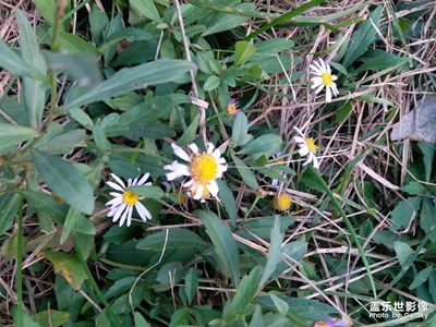 【愛在深秋】＋秋日隨拍