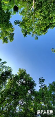 藍(lán)藍(lán)的天空綠綠的草地 慵懶舒服的早上