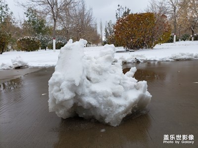 【瑰麗時分】+北國初雪