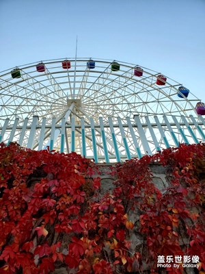 周日逛逛小區(qū)邊的公園