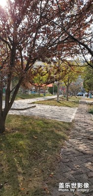 看看什么鳥(niǎo)兒????????????????