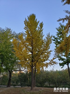 【你眼中的美景】+ 秋日的風(fēng)景