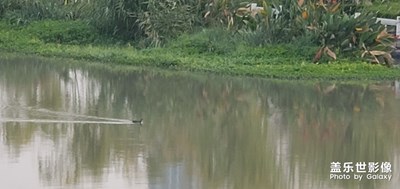 早上美了看看。??看看。??