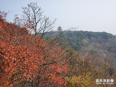 【晚秋光影】+在那個(gè)楓葉飄零的晚秋，收獲滿滿。