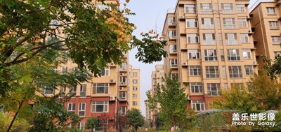 note10 +金秋隨手拍