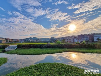 【晚秋光影】草長鶯飛