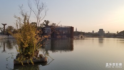 【晚秋光影】+晚秋隨拍