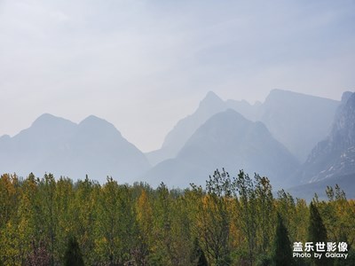 今天是2019年立冬前最后一天