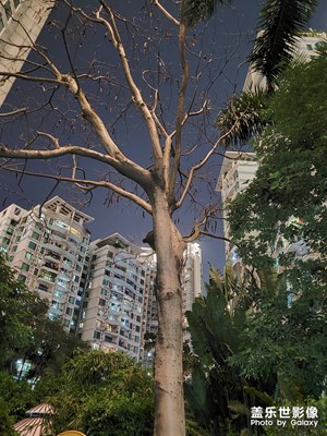 夜間模式小區(qū)花園