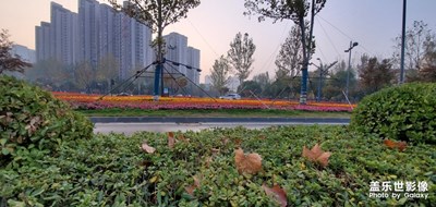 早上風(fēng)景美????????????????????