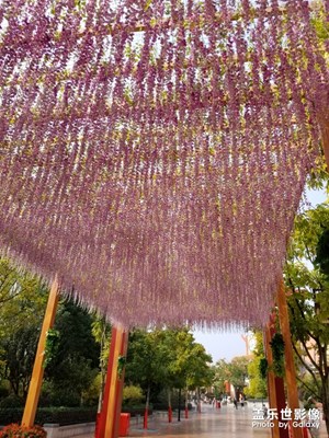 【晚秋光影】+方特晚秋