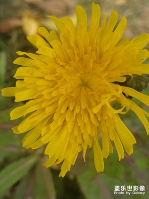 好看了????????????????