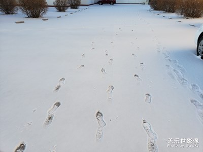 【我的城】+冬雪