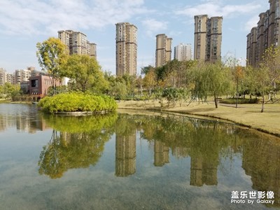 【倒影】+靜影沉璧