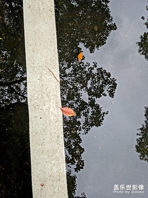 【倒影】+美麗的倒影