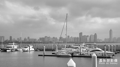 天高任鳥飛，海闊憑魚躍。