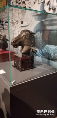 國博回歸馬首