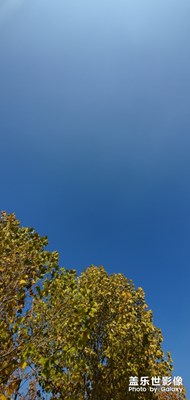 秋天的天氣很美很美